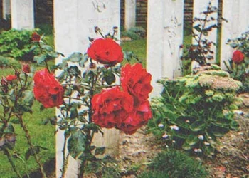 Az idős úr meglátja a hajléktalan lányt a felesége sírjánál, néhány évvel később a lány örökli mindenét