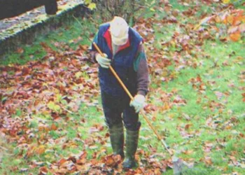 A gazdag fiatal nő kigúnyolja a szegény öregembert, két nappal később helyet cserélnek