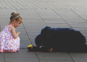 Árva kislány osztja meg ételét egy hajléktalan férfival, aki egy nap luxusautóval érkezik, hogy örökbefogadja őt