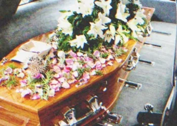 Kisfia halála után az anya belép a szobájába, és hallja a gyermek hangját, amint azt mondja: „Szia anya!”