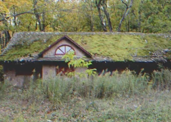 A fivér örökli apja vagyonát, míg a húga egy levelet kap, amelyben arra kérik, látogassa meg dédnagymamája otthonát