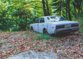 A hajléktalan férfi az erdőben sétálva elhagyott autót talál – észrevesz egy régi dobozt, benne egy borítékkal