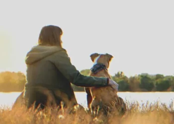 A nő annál a tónál ül, ahol bátyja két éve megfulladt – meglátja, ahogy a kutyája kirohan az erdőből