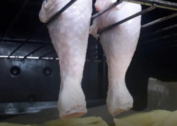 Megtudtam, mire való a sütőben lévő rács, és most 4 módszert mutatok be nektek