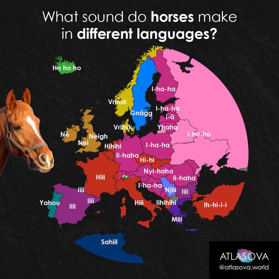 állatok, érdekességek, földrajz, Kultúra, növények, nyelv, országok, statisztika, társadalom, térképek, történelem, utazás, világ