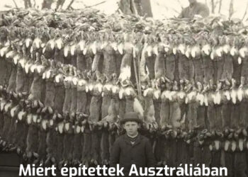 Miért építettek Ausztráliában egy 5600 kilométer hosszú kerítést és osztották két részre vele a kontinenst?