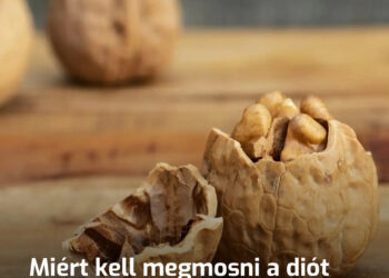 Miért kell megmosni a diót még akkor is, ha nem vagy egy finnyás ember (nem a porról és a koszról van szó)