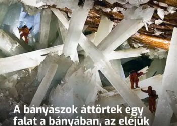 A bányászok áttörtek egy falat a bányában, az eléjük táruló látvány hatására pedig azonnal tudósokat hívtak a helyszínre