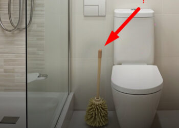 Miért nincs WC kefe az amerikai otthonokban? (és soha nem is volt)