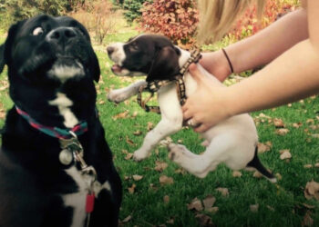 20 kép, amellyel sikerült lencsevégre kapni a legőszintébb érzelmeket