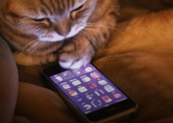 Régen és most: 10 fénykép, amely bemutatja, hogyan változott meg a világ