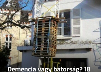 Demencia vagy bátorság? 14 személy, akiről nem lehet eldönteni, hogy beteg vagy idióta