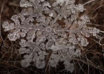 20 fénykép, amely igazolja, hogy a tél jobb, mint bármilyen Photoshop