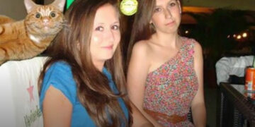 20 bunkó macska, akik sikeresen belerondítottak a tökéletesnek indult fotóba