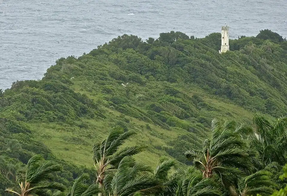 arany lándzsakígyó, bothrops, Brazília, elhagyatott sziget, galéria, Ilha da Queimada Grande, Kígyó-sziget, mérges kígyók, Queimada Grande, sziget, veszélyes helyek, világítótorony