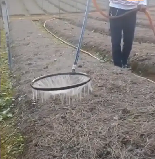 házilag, kertészkedés, kerti ötletek, kerti tippek, komposztálás, melegágy, növénytámasz, raklap ötletek, szüretelő kötény, tippek, trükkök, újrahasznosítás