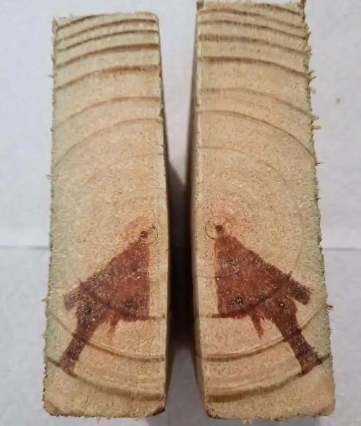 csodák, érdekességek, felfedezés, meglepő dolgok, régészeti leletek, rejtett kincsek, rejtett részletek, természet csodái, történelmi érdekességek, váratlan leletek