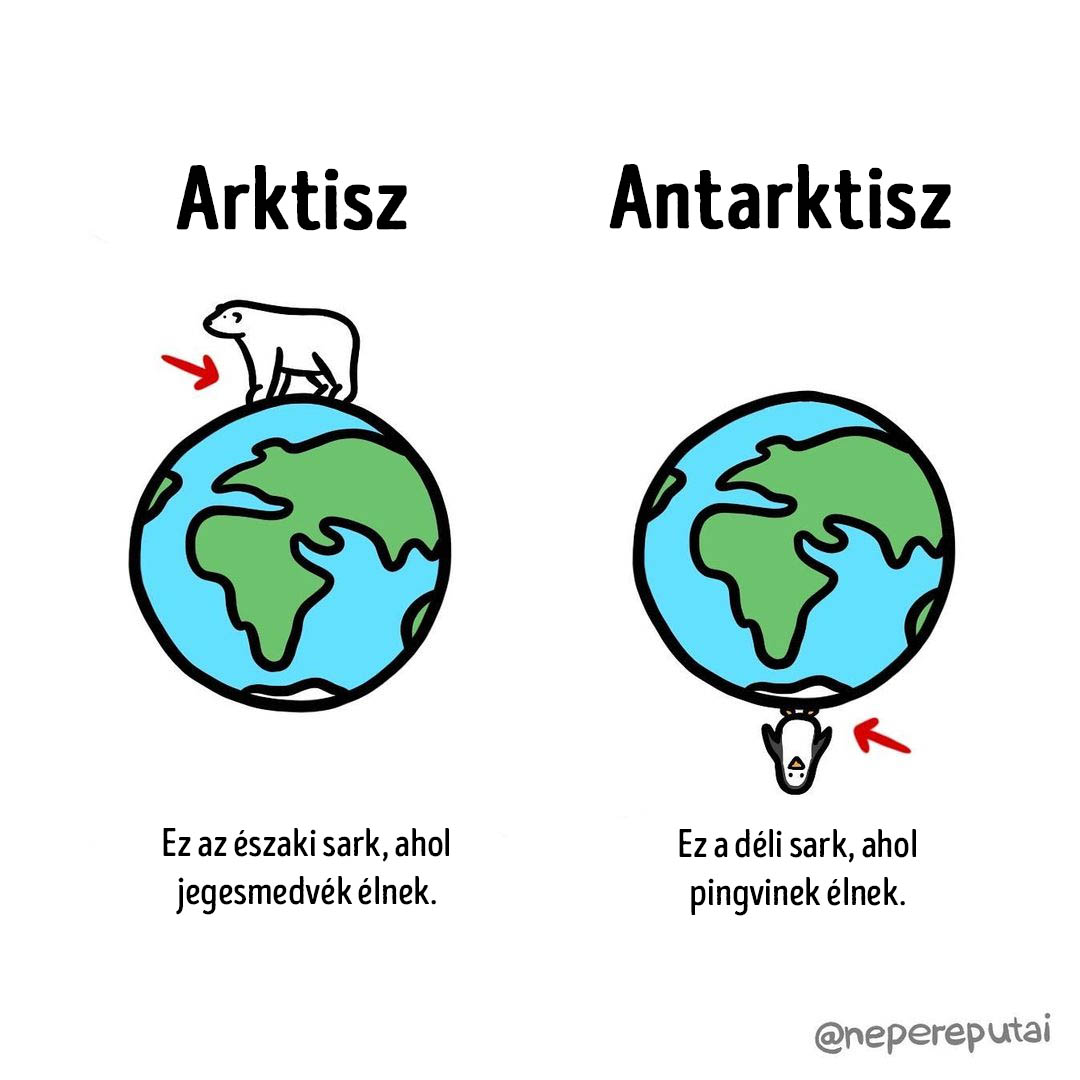 asztronauta, epilálás, harmonika, kozmonauta, különbség, megkülönböztetés, szőrtelenítés, vegán, vegetáriánus