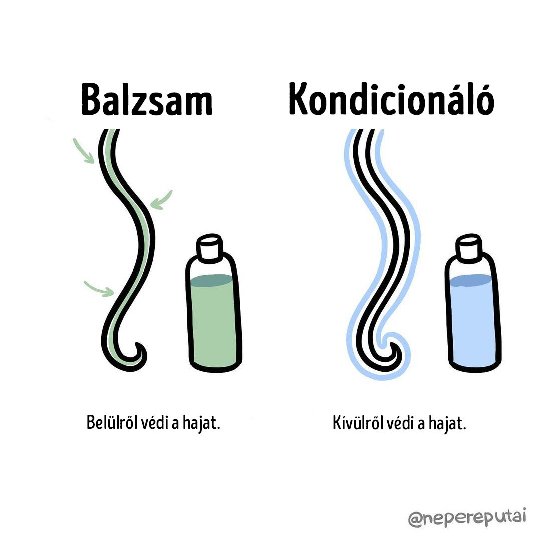 asztronauta, epilálás, harmonika, kozmonauta, különbség, megkülönböztetés, szőrtelenítés, vegán, vegetáriánus