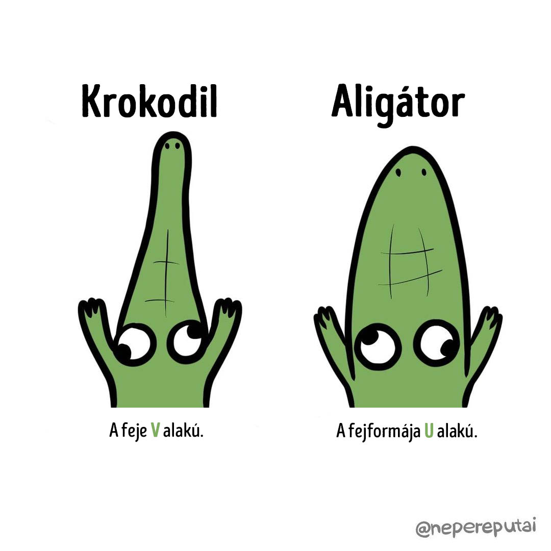 asztronauta, epilálás, harmonika, kozmonauta, különbség, megkülönböztetés, szőrtelenítés, vegán, vegetáriánus