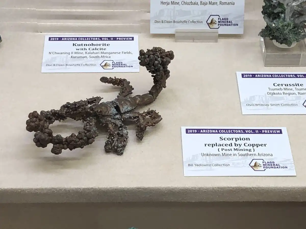 Állatvilág, Bonsai, egyedi dolgok, Érdekes tények, geológia, meteorit, Ritka dolgok, Szokatlan jelenségek, természeti jelenségek, történelem