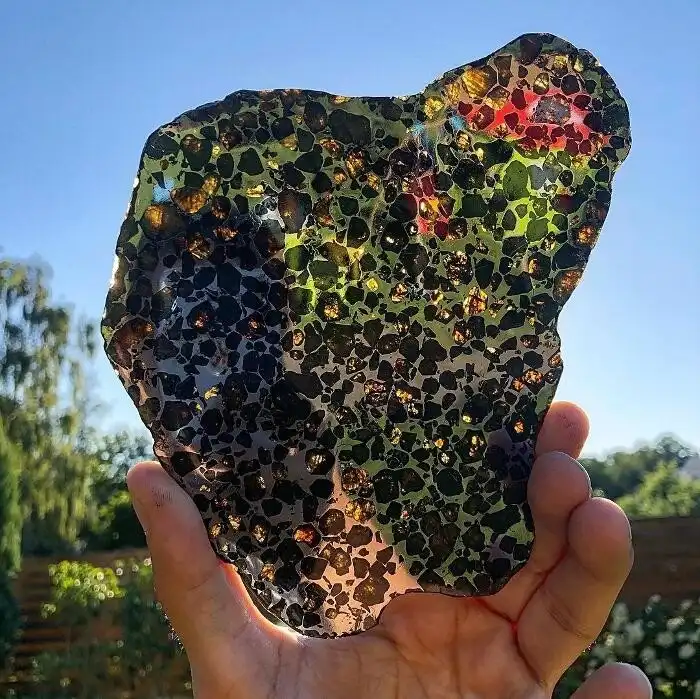 Állatvilág, Bonsai, egyedi dolgok, Érdekes tények, geológia, meteorit, Ritka dolgok, Szokatlan jelenségek, természeti jelenségek, történelem