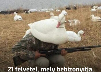 21 felvétel, mely bebizonyítja, hogy a férfiak találékonysága semmi máshoz sem fogható