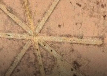 Az Aral-tó rejtélye: amit a tudósok a kiszáradt tó fenekén találtak