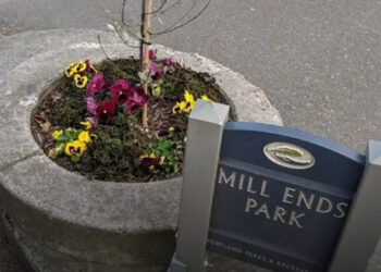 20 ritka fénykép, amit az életedben legalább egyszer látnod kell