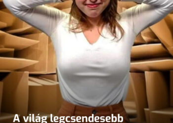 A világ legcsendesebb szobája. Miért kezdenek itt 45 perc után megőrülni az emberek?