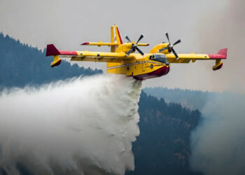 Lehetséges-e az erdőtüzeket tengervízzel oltani: tudósok válasza