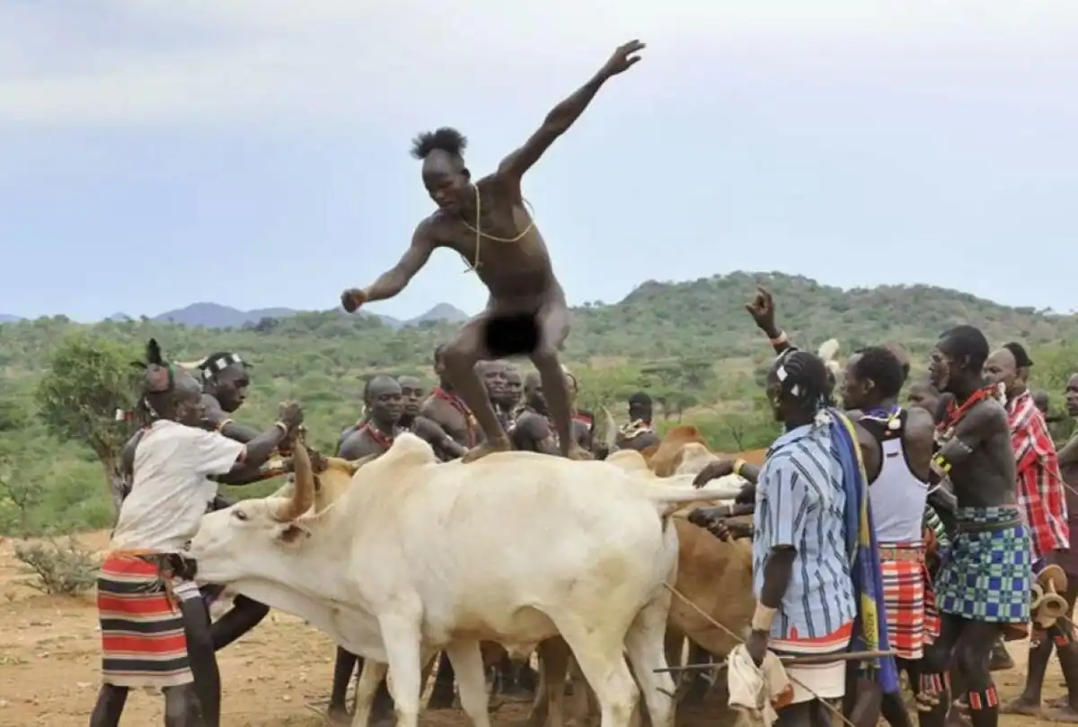 afrika, afrikai törzsek, busmanok, csevák, hagyományok, hamarok, Kultúra, maszájok, szokások, vodaabék