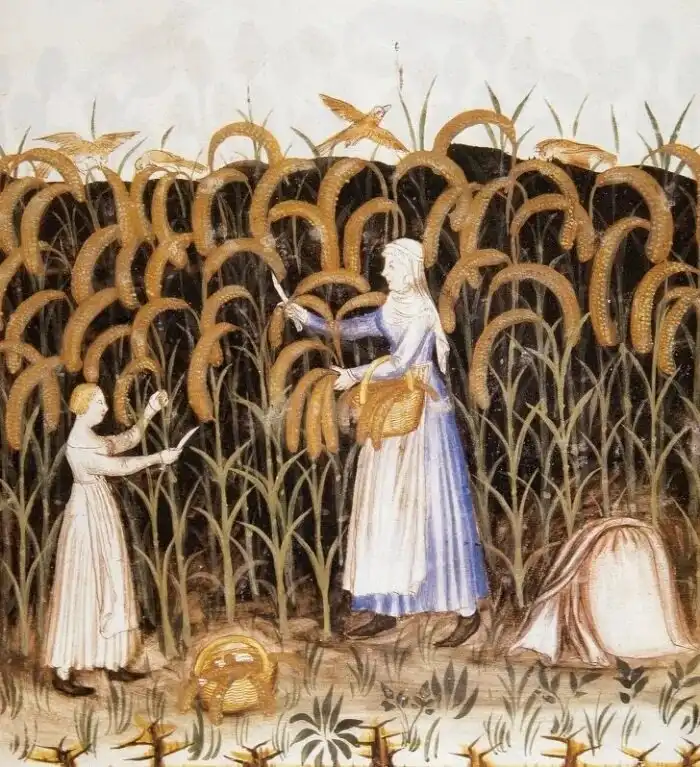 büntetés, család, csecsemőhalál, életmód, gyerekkor, gyermekek, gyermekmunka, halandóság, házasság, középkor, nevelés, szokások, társadalom, történelem