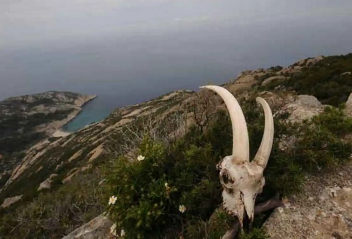 el-molo törzs, Envaitenet-sziget, Kenya, lakatlan sziget, legendák, megoldatlan rejtélyek, paranormális jelenségek, rejtélyes eltűnések, Rudolf-tó, veszélyes helyek