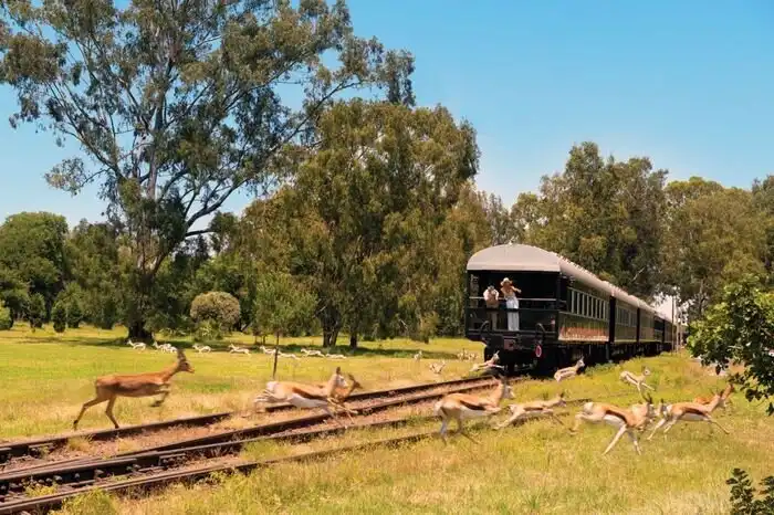 Golden Eagle, luxus utazás, luxusvonat, Maharajas Express, Rovos Rail, Suite Shiki-Shima, turistavonat, utazás, vasút, Venice Simplon-Orient-Express, vonatozás