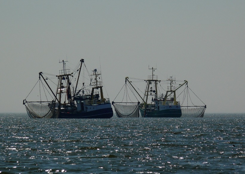 Chile, Dél-Amerika, éghajlat, Galapagos-szigetek, halászat, hideg víz, Humboldt-áramlat, óceán, pingvinek, San Alfonso del Mar, strandok, tengerpart, turizmus, úszómedence