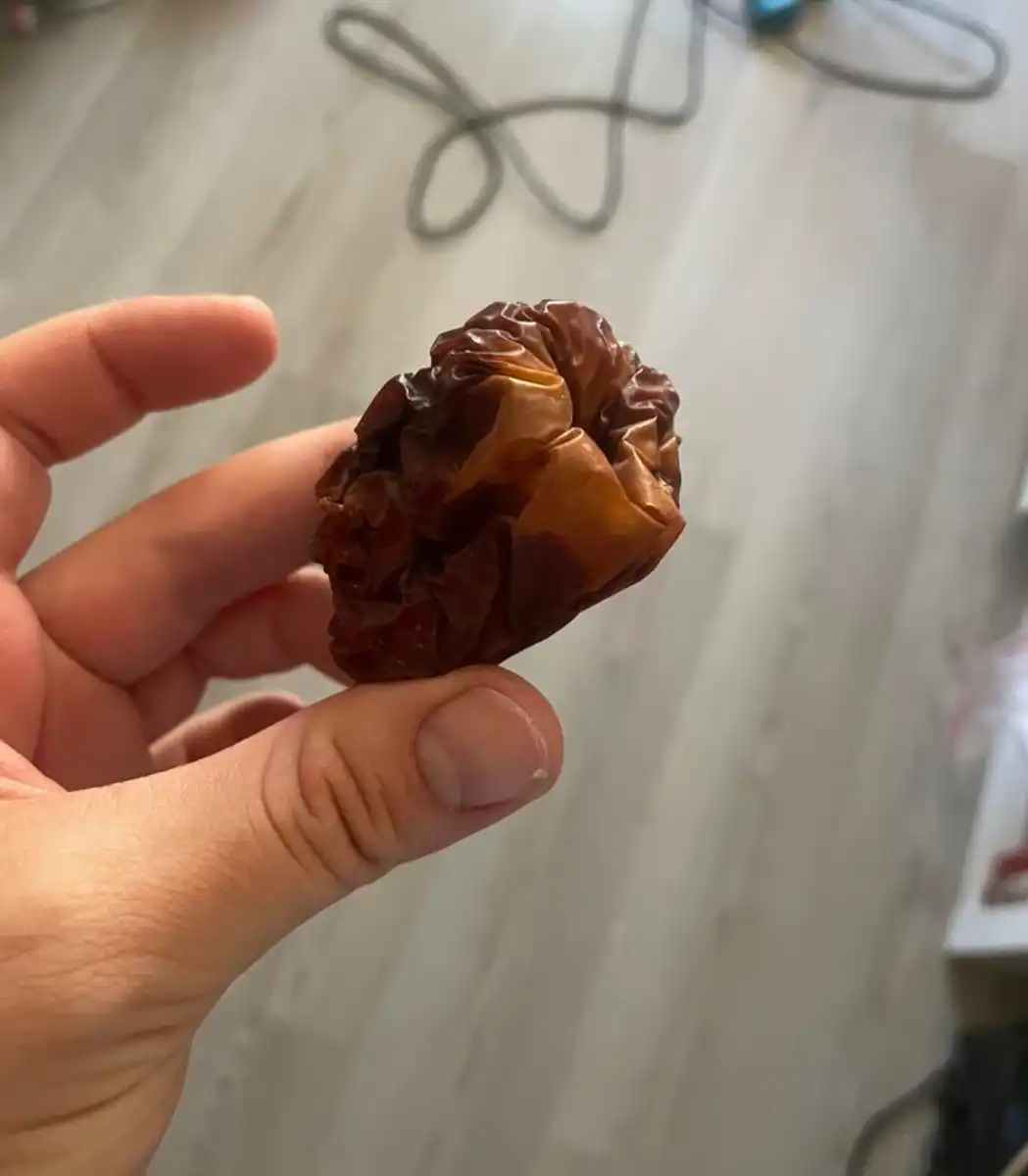 anyag, átalakulás, bomlás, furcsaság, idő, látvány, meglepetés, mindennapok, természet, véletlen