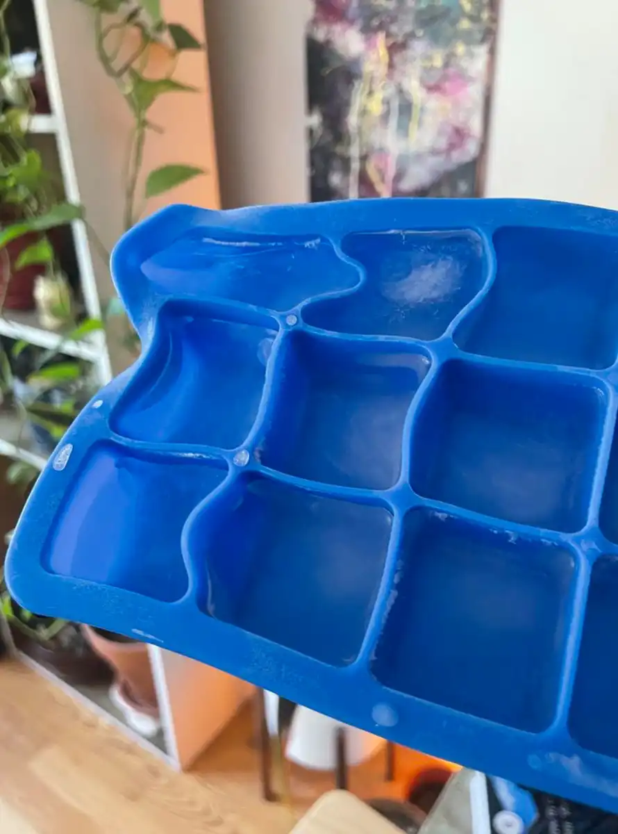 anyag, átalakulás, bomlás, furcsaság, idő, látvány, meglepetés, mindennapok, természet, véletlen
