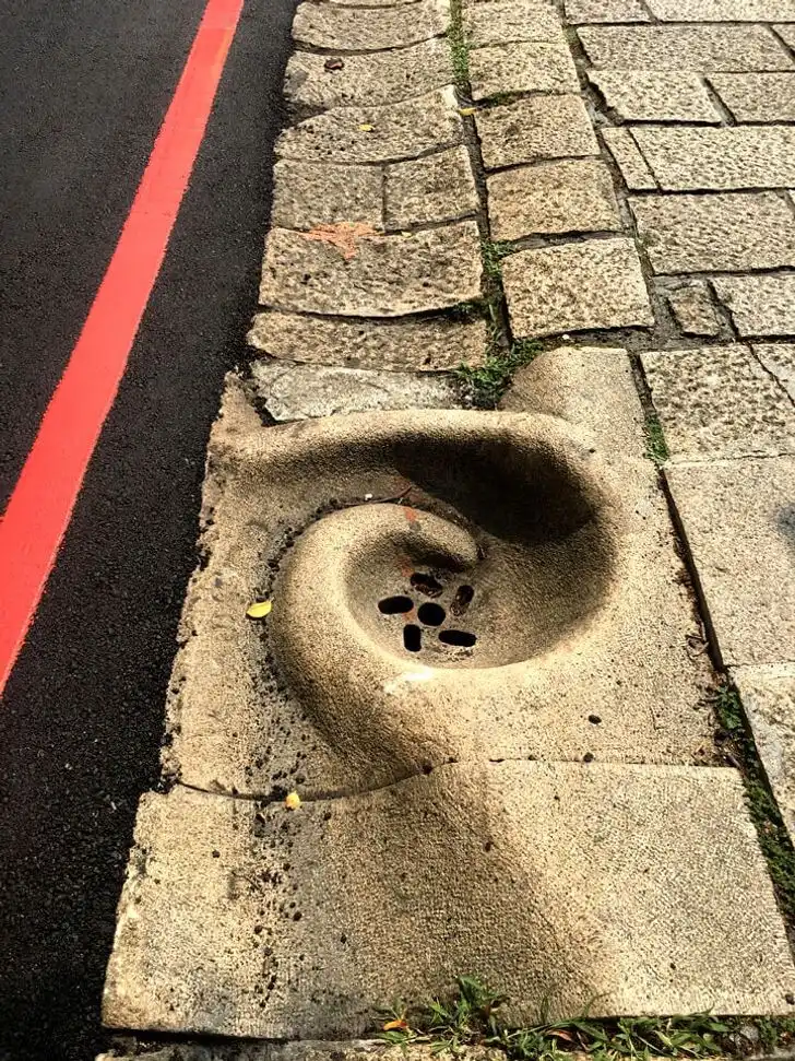 állatok, design, egyedi dolgok, elég érdekes, elképesztő tények, emberi alkotások, építészet, érdekes dolgok, furcsaságok, különlegességek, növények, ritkaságok, szokatlan képek, természet furcsaságai, világ csodái
