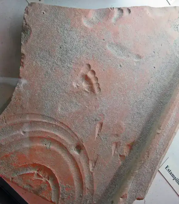 biológia, Érdekességek, Kultúra, leletek, technológia, tények, természet, történelem, tudomány, világ