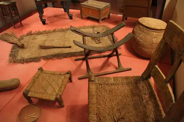 biológia, Érdekességek, Kultúra, leletek, technológia, tények, természet, történelem, tudomány, világ
