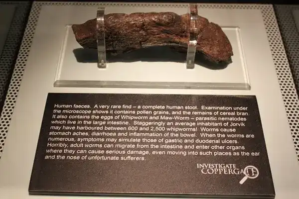 biológia, Érdekességek, Kultúra, leletek, technológia, tények, természet, történelem, tudomány, világ