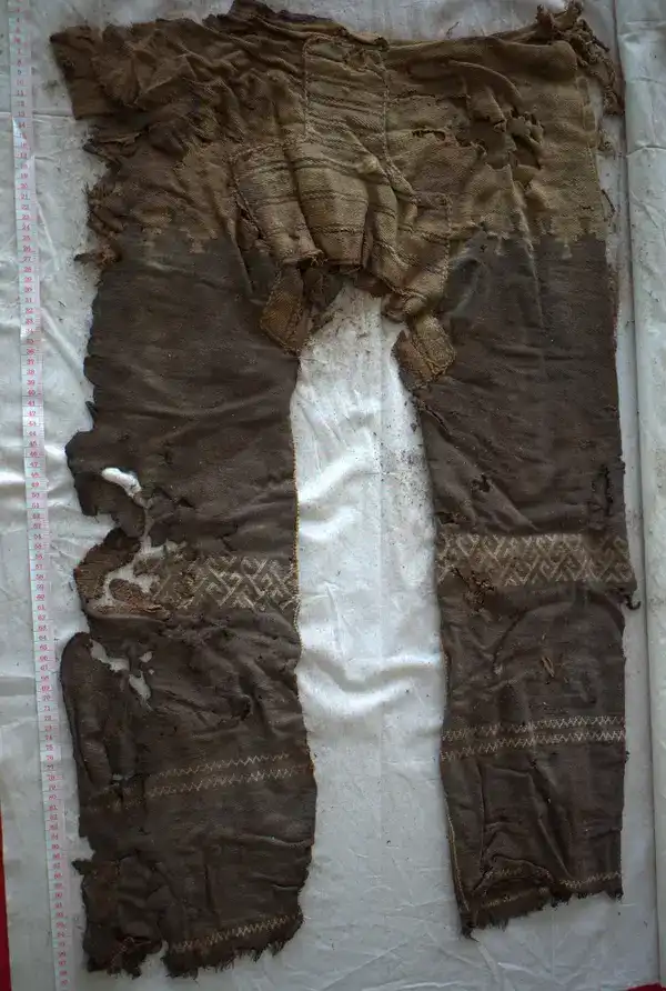 Állatok, ember, Érdekességek, felfedezés, meglepő, technológia, természet, történelem, tudomány, világ