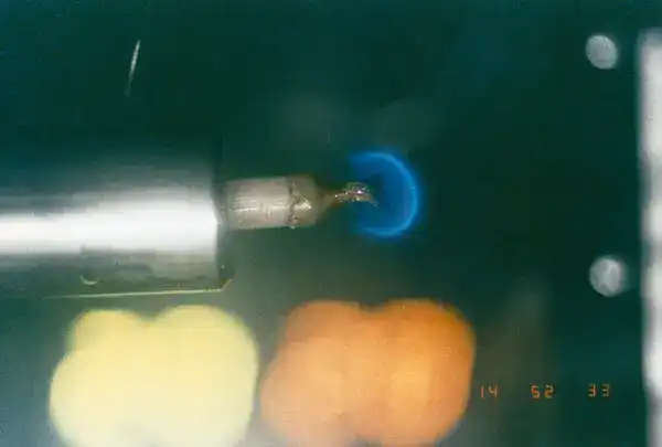 ember, érdekességek, meglepő, méret, összehasonlítás, technológia, természet, tudomány, világ, vizuális