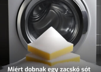 Miért dobnak egy zacskó sót és egy mosogatószivacsot a mosógépbe: 6 mosási trükk tapasztalt háziasszonyoktól