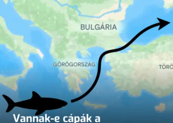 Vannak-e cápák a Fekete-tengerben? Elvégre csak egy vékony kis szoros köti össze a többi tengerrel és óceánnal