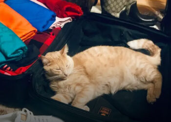 11 dolog, ami miatt kinyitják a bőröndödet a repülőtéren akkor is, ha nem vagy ott