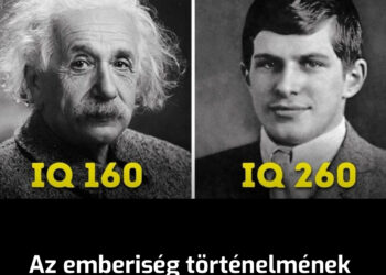 Az emberiség történelmének talán legokosabb emberének rendkívül nehéz sorsa volt a 260-as IQ-ja miatt