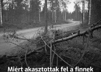 Miért akasztottak fel a finnek közel 400 ezer kivágott fát kábelekre az orosz határ közelében?