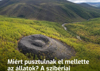 Miért pusztulnak el mellette az állatok? A szibériai Patom-kráter két rejtélye, ami előtt a tudósok is csak értetlenül állnak